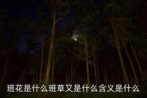 股票说的班花是什么意思，班花什么含义准确准确