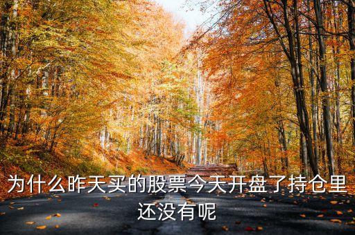 为什么昨天买的股票今天开盘了持仓里还没有呢