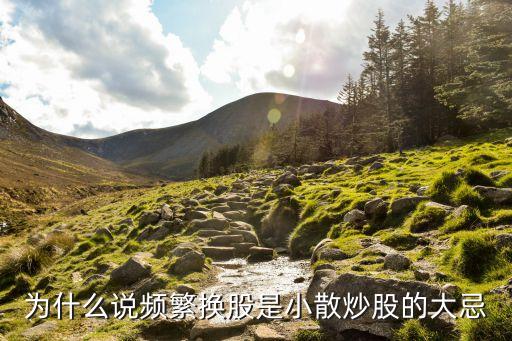 股票的大忌是什么意思啊，大忌啥意思