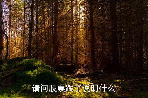 请问股票跌了说明什么