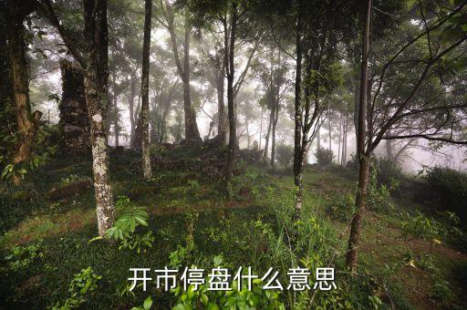 开市停盘什么意思