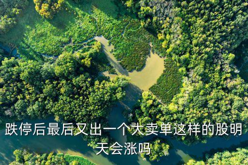 跌停后再卖出的股票叫什么，跌停后最后又出一个大卖单这样的股明天会涨吗