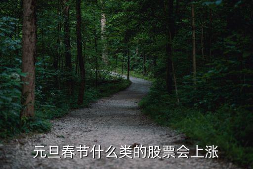 元旦春节什么类的股票会上涨