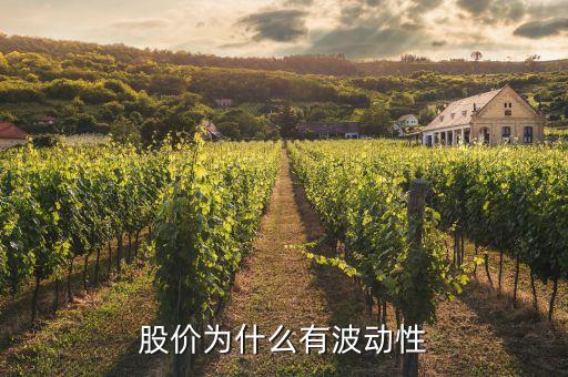 股票资金为什么有波动性，股价为什么有波动性