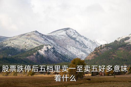 股票跌停后五档里卖一至卖五好多意味着什么