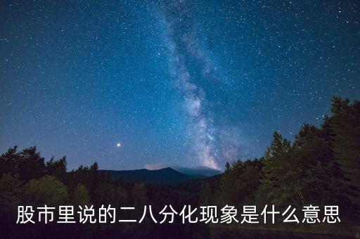 股市里说的二八分化现象是什么意思
