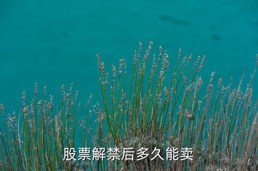 解禁的股票什么时候能卖出，限售解禁股解禁当天可以卖出吗