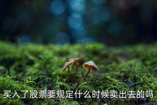 买入了股票要规定什么时候卖出去的吗