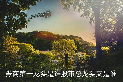 券商第一龙头是谁股市总龙头又是谁