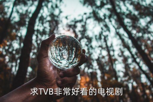 求TVB非常好看的电视剧