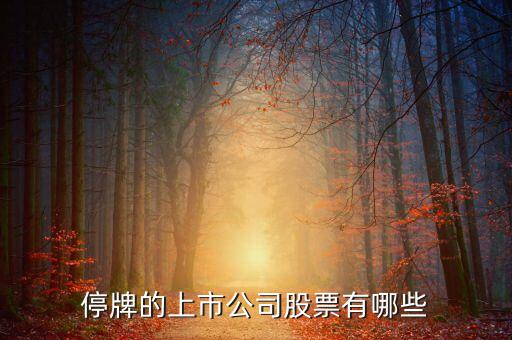 停牌的上市公司股票有哪些