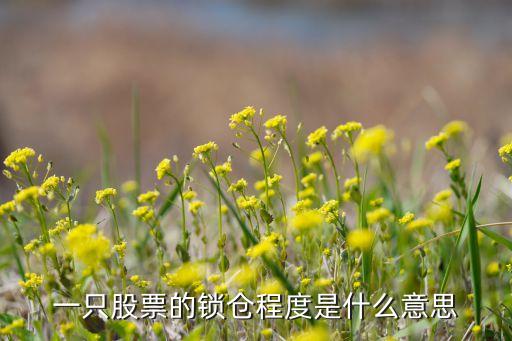 一只股票的锁仓程度是什么意思
