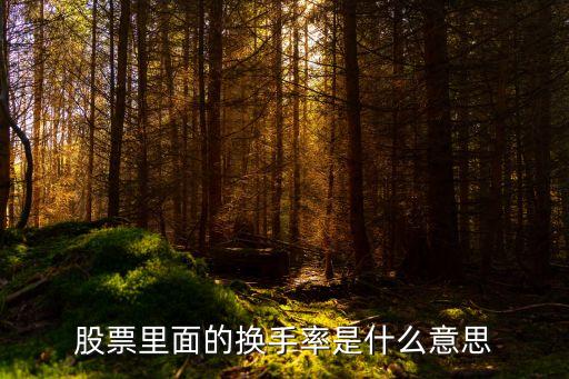 股票中的还手率是什么意思，股票还手率