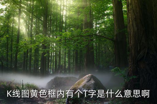 股票走势图表t什么意思，股票T线什么意思