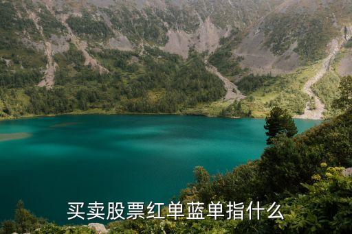 股票红块和蓝块什么意思，买卖股票红单蓝单指什么