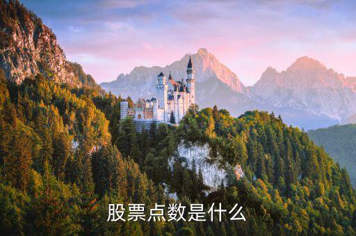 股票点数是什么