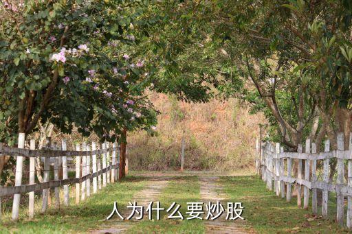 为什么很多人敢做股票，为什么现在那么多人炒股