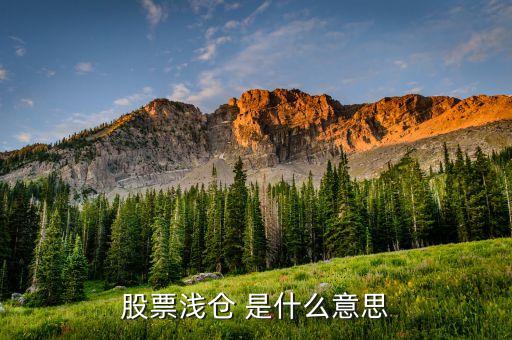 股票浅仓 是什么意思