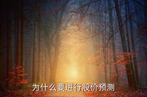 为什么要进行股价预测