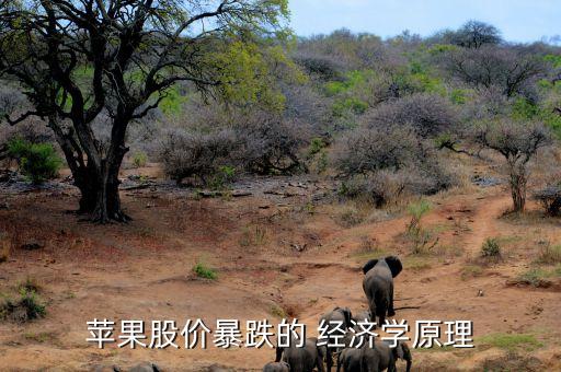 苹果股价暴跌的 经济学原理