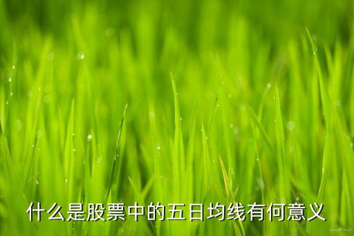 什么是股票中的五日均线有何意义