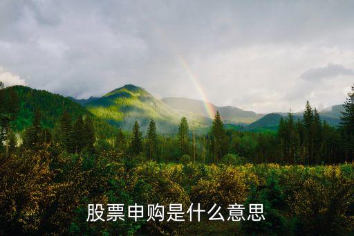 股票申购是什么意思