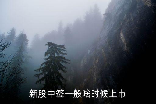 新股中签一般啥时候上市