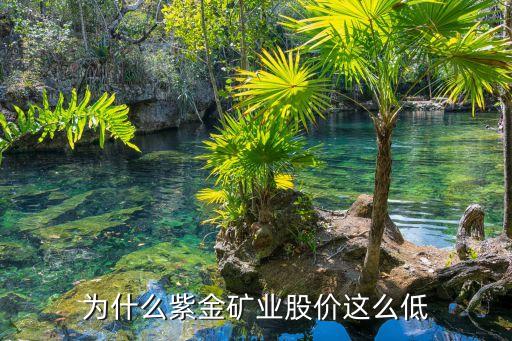 为什么紫金矿业股价这么低