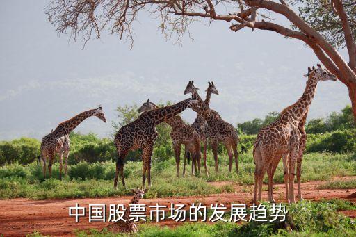 中国股票市场的发展趋势