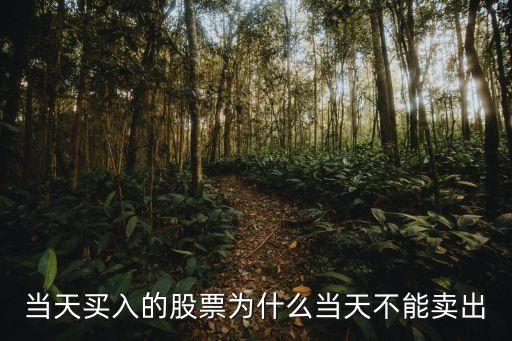 股票早盘为什么不能卖出去，为什么昨天下午买的股票今天上午不能卖出