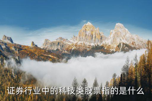 证券行业中的科技类股票指的是什么