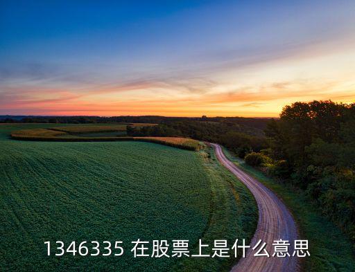 1346335 在股票上是什么意思