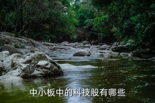 股票中的科技股是什么，a股里哪些是科技蓝筹股