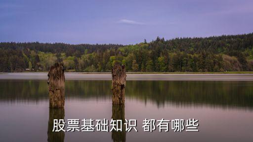 股票基础知识 都有哪些