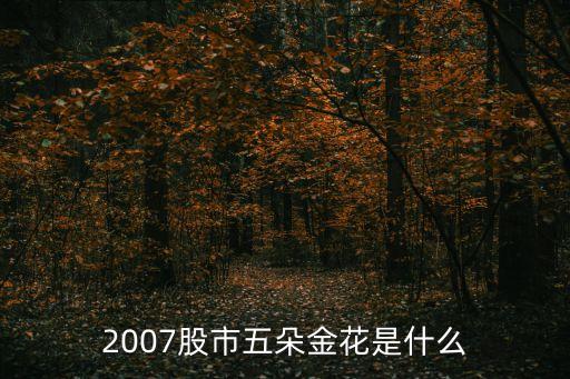 2007股市五朵金花是什么