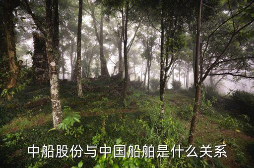 中船股份与中国船舶是什么关系