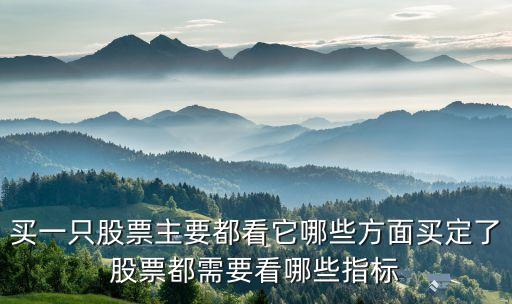 买一只股票主要都看它哪些方面买定了股票都需要看哪些指标