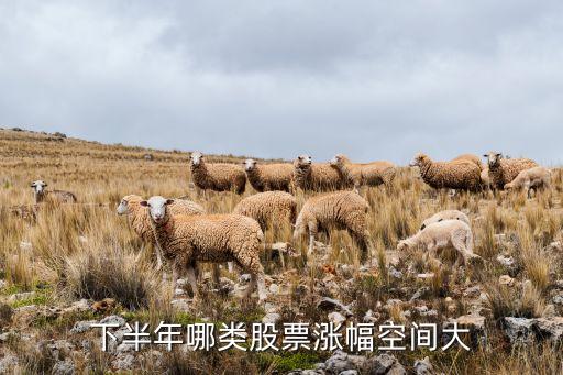 下半年哪类股票涨幅空间大