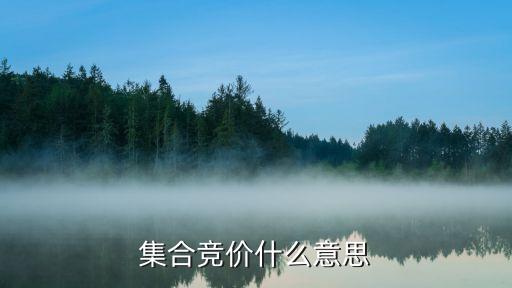 集合竞价什么意思