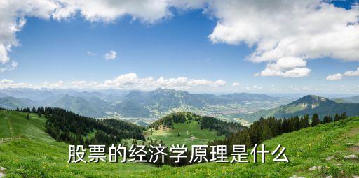 股票的经济学原理是什么