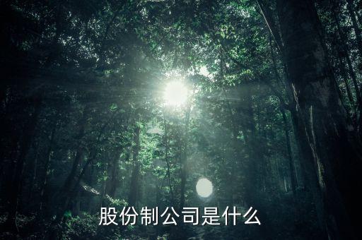 股份制公司是什么