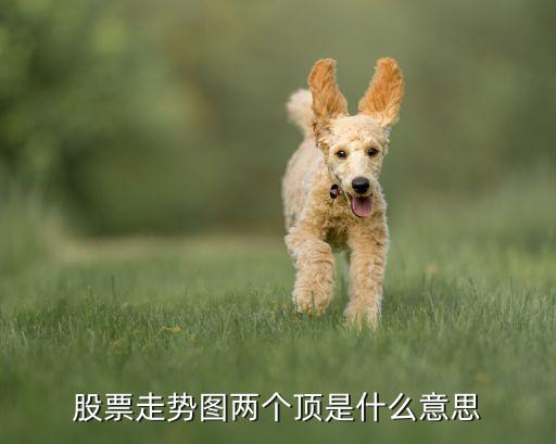 股票走势图两个顶是什么意思