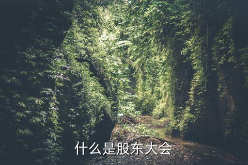 什么是股东大会