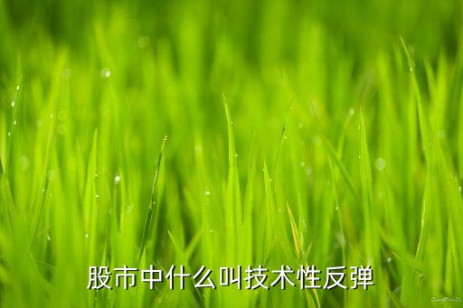 股票技术性下跌什么意思，股票缩量下跌代表什么意思