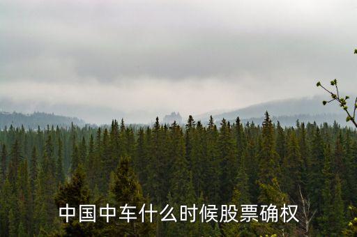 被摘牌股票什么时候确权，002477什么时候确权
