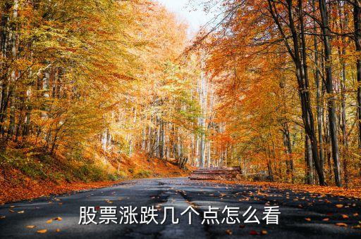 怎样知道股票在什么时候涨，股票涨跌几个点怎么看