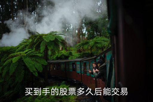 买到手的股票多久后能交易