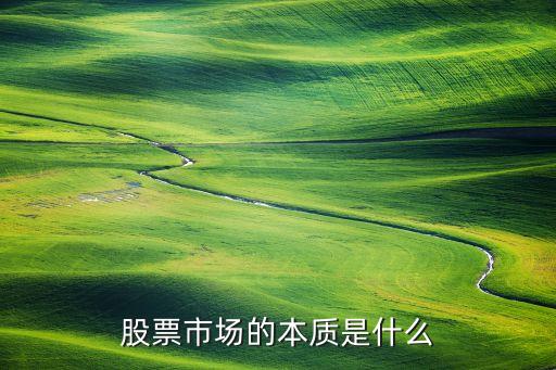 股票中市场观点说明了什么，股票的市场性是什么意思