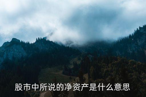股市中所说的净资产是什么意思