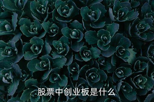 股票中创业板是什么